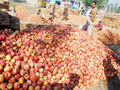 Belgium apples, pears enter India via tie-up with Yupaa Group