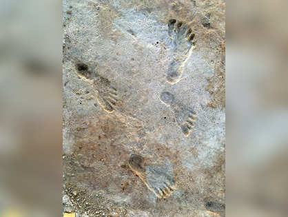 21,000-yr-old Footprints in New Mexico may be the oldest evidence of human migration in the Americas
