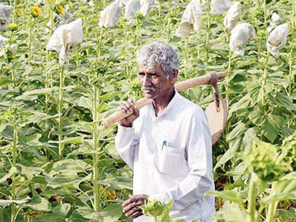 Farmers in west and central India go slow on kharif sowing