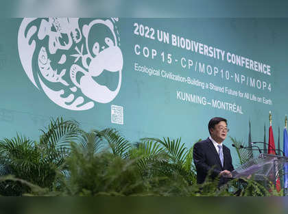 Global deal to halt biodiversity loss on cards
