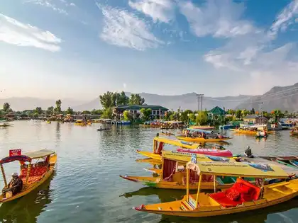 Kashmiris take pride in 'racehorses of the sky'