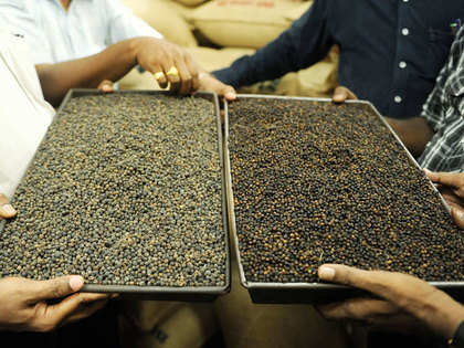 Indian black pepper production to decline in 2016 due to inclement weather