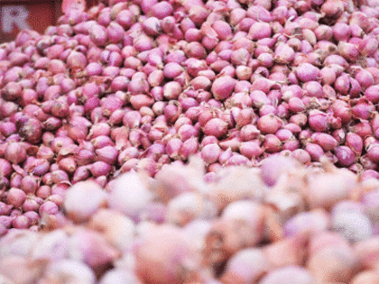 Plan to import onion may keep prices under check