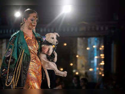Dogs turn runway models at New York Fashion Week