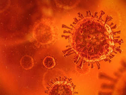 N440K coronavirus variant spreading more in southern states: CCMB study