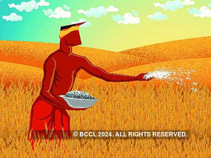 India's rabi crops sowing rises 4.4% led by wheat