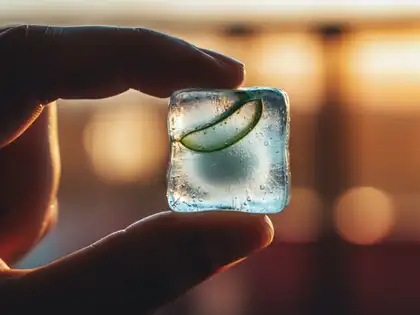 People Are Freezing Aloe Vera and Rubbing It on Their Skin, But Does This  Icy Trick Actually Work? - The Economic Times