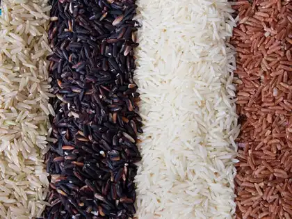 what do tobacco cotton and rice have in common Literary Hub  The Crops That Created America (Mostly Came From Africa) rice: Coloured cousins of white