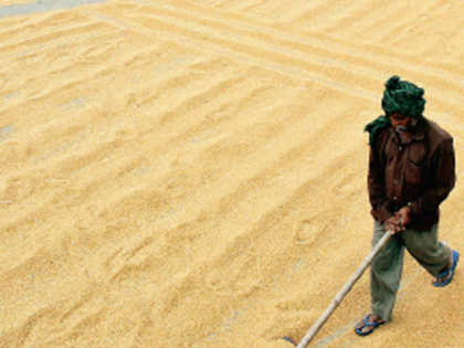 Food Corporation of India to study wheat export, storage options