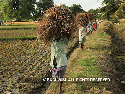 Inter-state ranking of distortions: What skews Indian farm markets