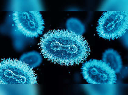Pune: ICMR-NIV reveals Monkeypox virus strain A.2 in two UAE-returned travellers