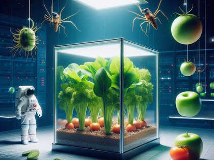 Fresh Veggies in Zero Gravity: This Lab’s cubes will grow plants and insects in space for astronauts