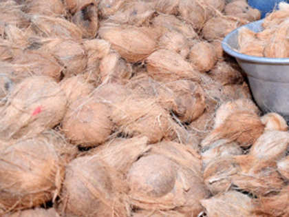 Rising coconut prices add to pain of ayurveda industry