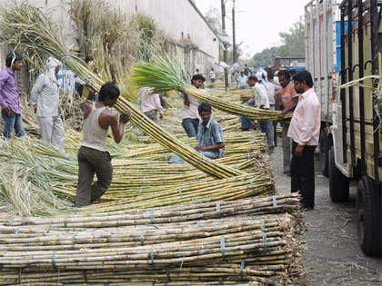 India's sugar deficit widens to 15% from 10% on January 31, says ISMA
