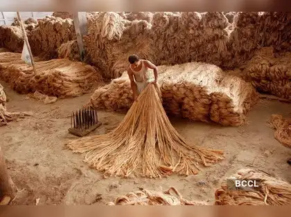 India limits Bangladesh jute imports