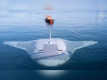 Secret US Navy under sea drone Manta Ray spotted, later disappears from Google Maps