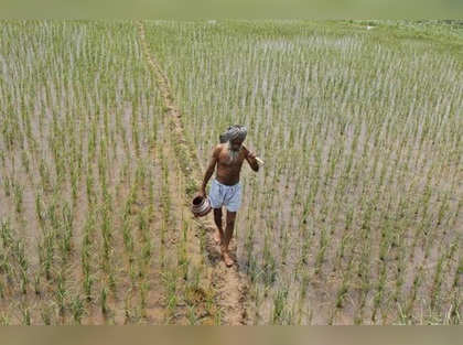 Centre asks states to set up unified agriculture market