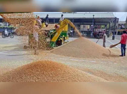 Centre procures 60.63 lakh tonnes of paddy so far in Punjab; Rs 1,22,00 cr paid to farmers till Oct 28