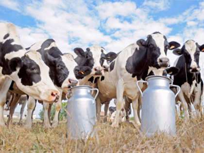 Milk Mantra buys Westernland Dairy for Rs 10 crore