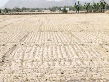 Deficit rains likely to hit kharif foodgrain output by 7%