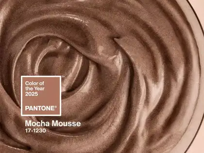 Mocha Mousse and the real value of brown foods