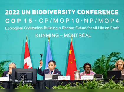 COP15 UN biodiversity summit, Montreal: Nations reach 'historic' deal, key highlights