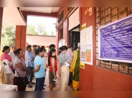 Lok Sabha polls: Chhattisgarh records 72.8 pc voter turnout, 1.31 pc up from 2019