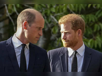 As he turns 40, Prince Harry to accept $8.5 million as inheritance: Ex-staffer