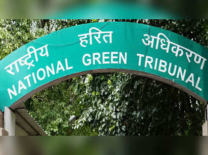 NGT directs highway construction firm to pay Rs 55.47 crore for causing environmental damage