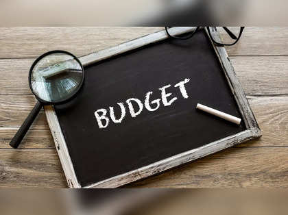 Budget Picks: Top 4 stocks to buy ahead of Interim Budget 2024 that could give 10-20% return