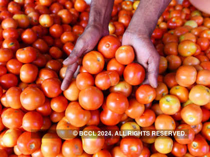 No respite from high tomato prices for next two weeks