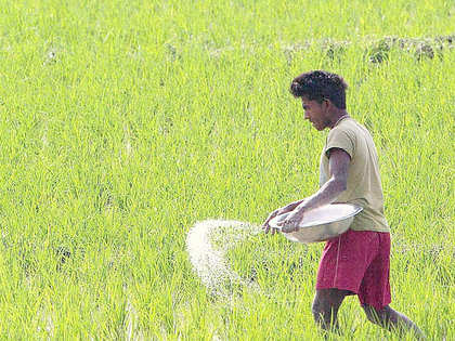 Global prices of agri-items may fall in next 10 years: FAO