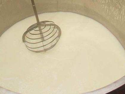 Parag Milk Foods, Schreiber Dynamix get approval to export cheese to Russia
