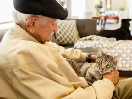 Man without heirs offers his entire inheritance to a stranger, but there is a feline catch