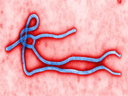 Here's what you need to know about Ebola