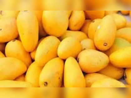 Mango exports up 19 pc to USD 47.98 million during April-August; US top destination