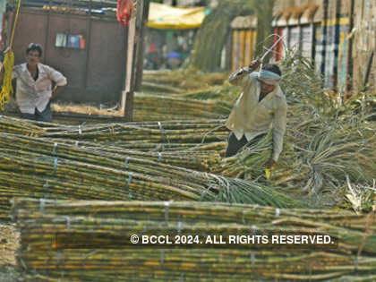 Delay in fixing sugar export subsidy hitting business: Indian Sugar Mills Association