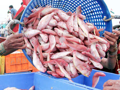 Indian Seafood industry expecting 15% growth this fiscal; to benefit from global shortage