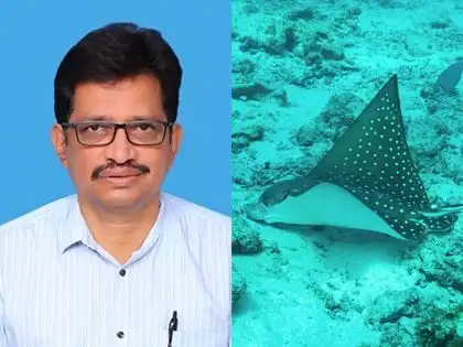 Who is Dr M. V. Ramana Murthy? An IIT Madras alumnus honoured after a new electric ray species discovered deep in the Arabian Sea has been named after him. (Left: Wikipedia, Right: iStock (representative image))
