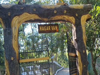NGT issues notice to Centre on plea seeking declaration of Corbett park as 'Eco-Sensitive Zone'