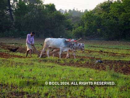 Farmers may see agri input scarcity despite prediction of a good monsoon