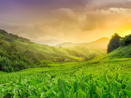 spring season: Anticipating Spring's arrival? Mark your Calendar for the  first day of Spring in 2024 - The Economic Times