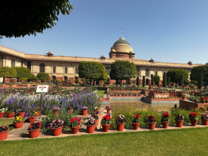 Amrit Udyan in Rashtrapati Bhavan to open soon for public; Check date, time, places to explore