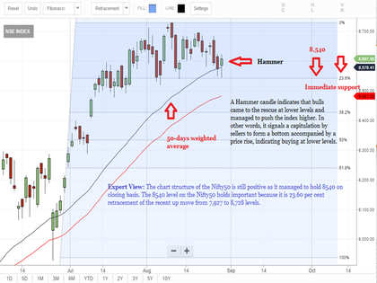 Tech view: Nifty50 reclaims 8,600, forms 'Hammer' pattern on charts