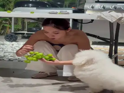 World Record Grape Eating