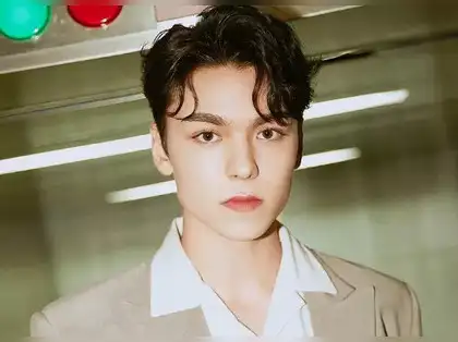 その他 SEVENTEEN VERNON SVT JAPAN TW] “WORLD TOUR [BE THE SUN] - JAPAN 初公演まで D