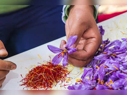In rare form, saffron worth king’s ransom: ‘Kesar’ prices soar up to Rs 4.95 lakh/kg in retail as Iran tensions weaken its exports of the spice