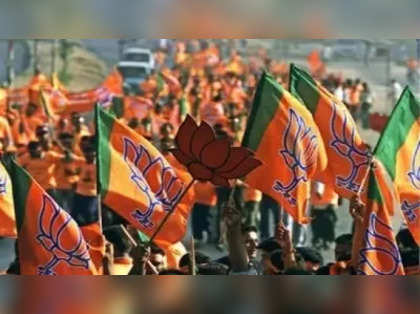 Rourkela set for big fight after Dilip Ray named as BJP candidate