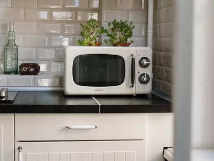 Best 20 Litres Microwave Ovens in India for Medium-Sized Family
