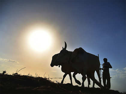 Jai Jawan Kisan Photos and Images